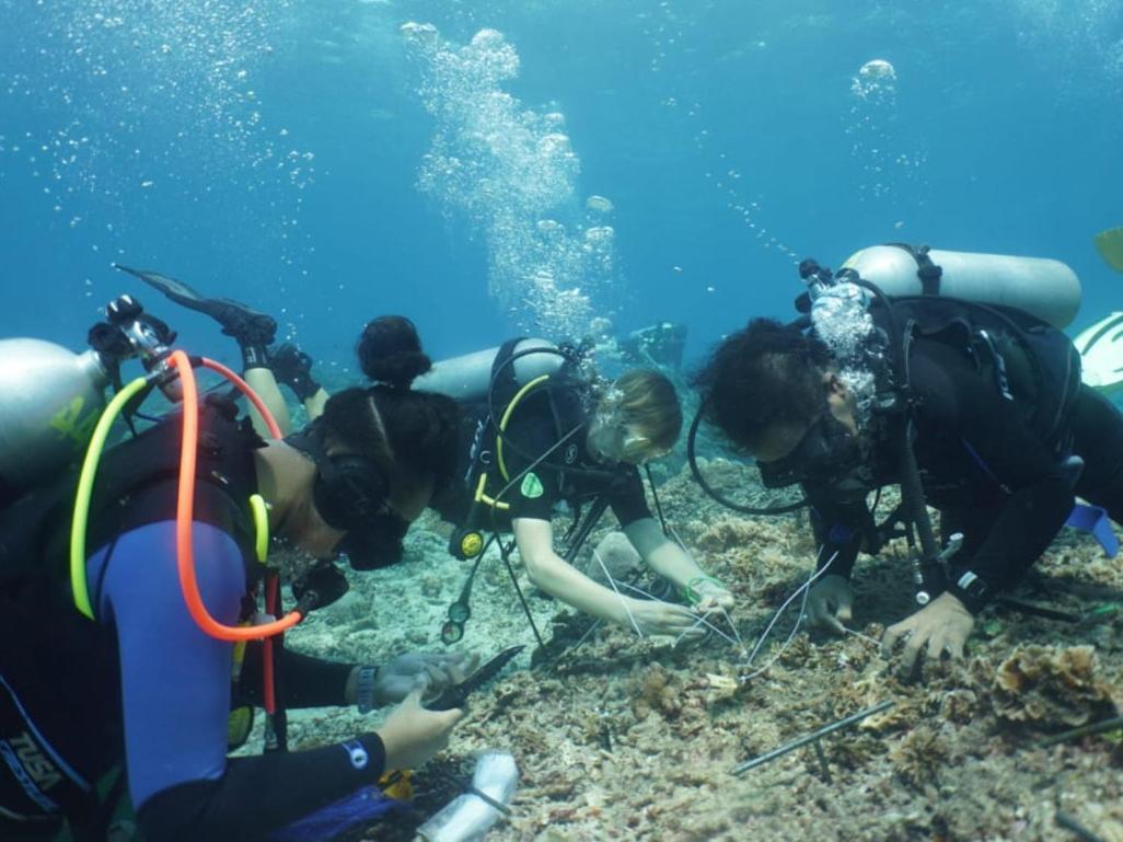 The Sagara Penida นูซาเปอนีดา ห้อง รูปภาพ